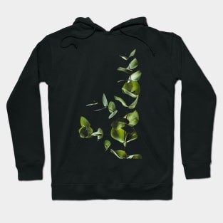 Beautiful Leaves 13 Hoodie